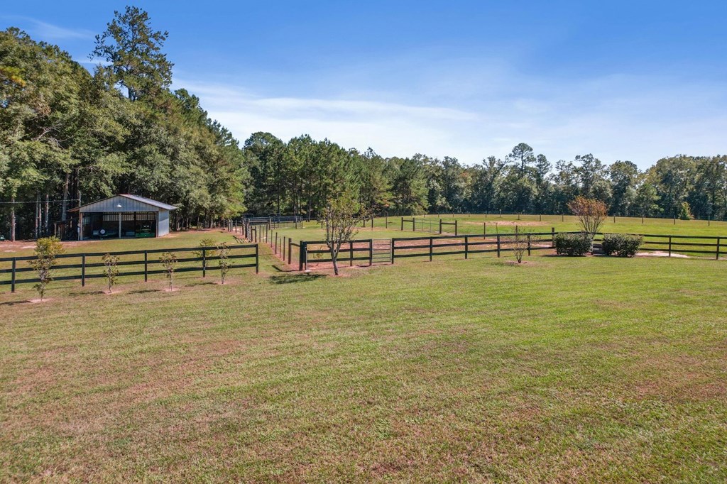 1690 Benton Store Road Columbia, AL 36319 - Photo 44 of 46
