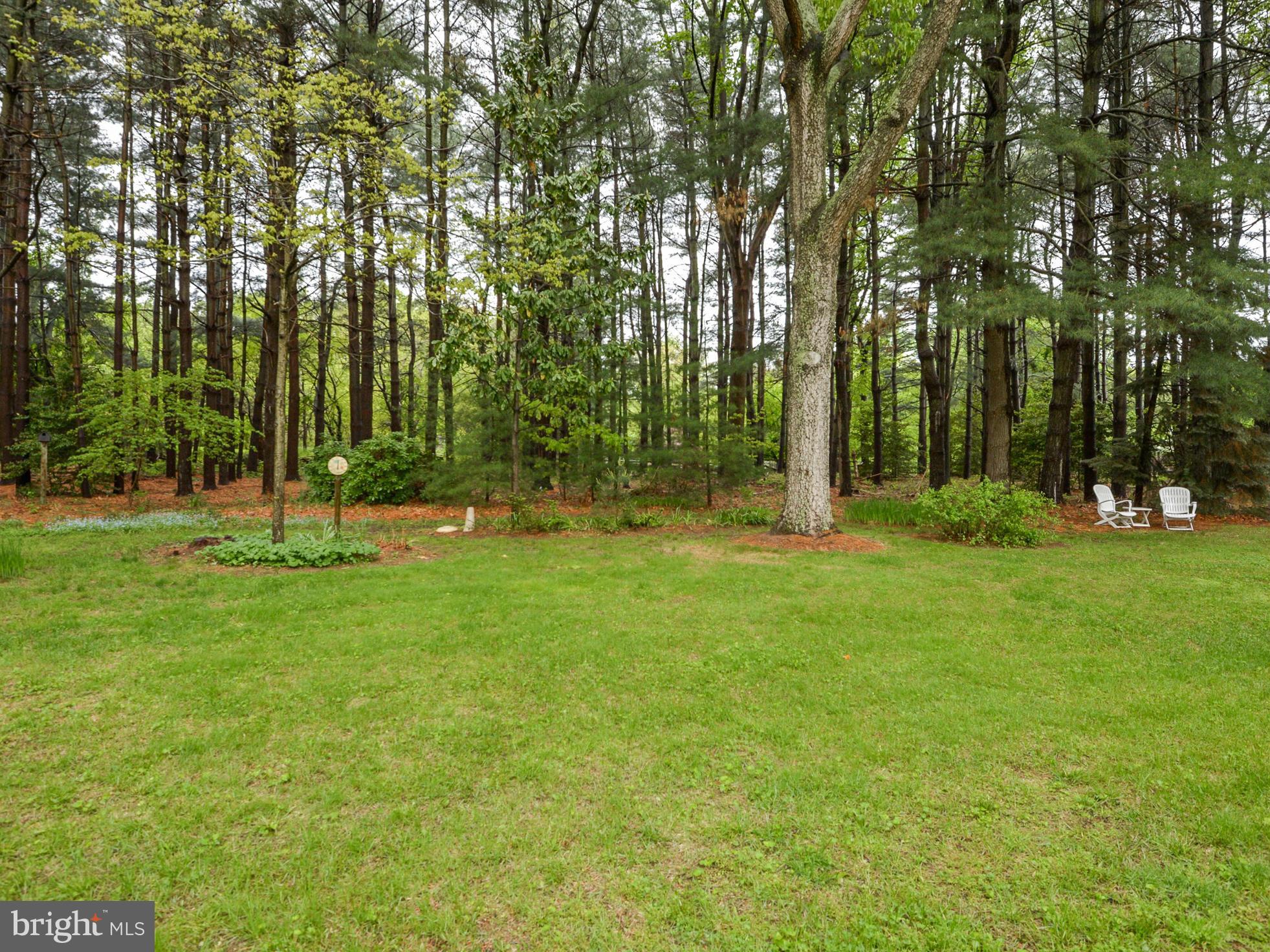 1512 Duvall Road Annapolis, MD 21409 - Photo 28 of 30 Landscaped and Wooded View