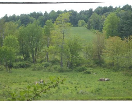 26 Glenwood Road Rutland, MA 01543 - Photo 29 of 29 a view of a lush green forest
