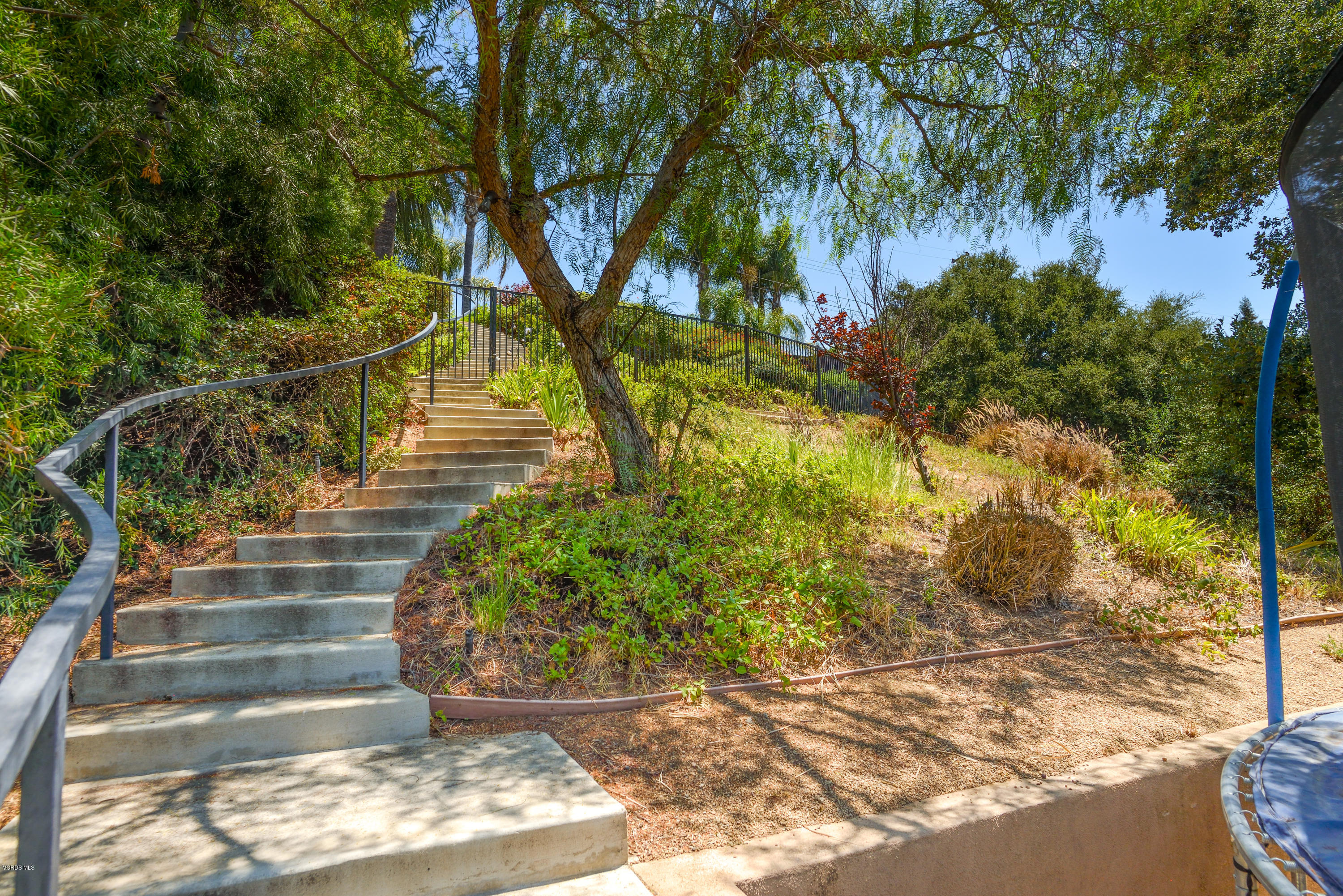 3327 Rancho Rio Bonita Road Covina, CA 91724 - Photo 50 of 58 a view of a yard