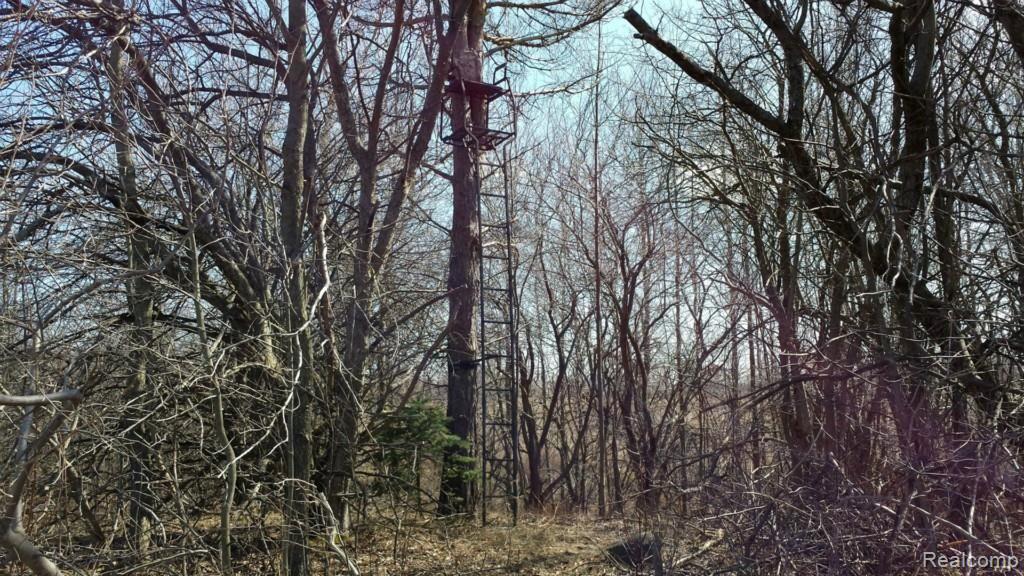 V/l Townsend Road Croswell, MI 48422 - Photo 4 of 10