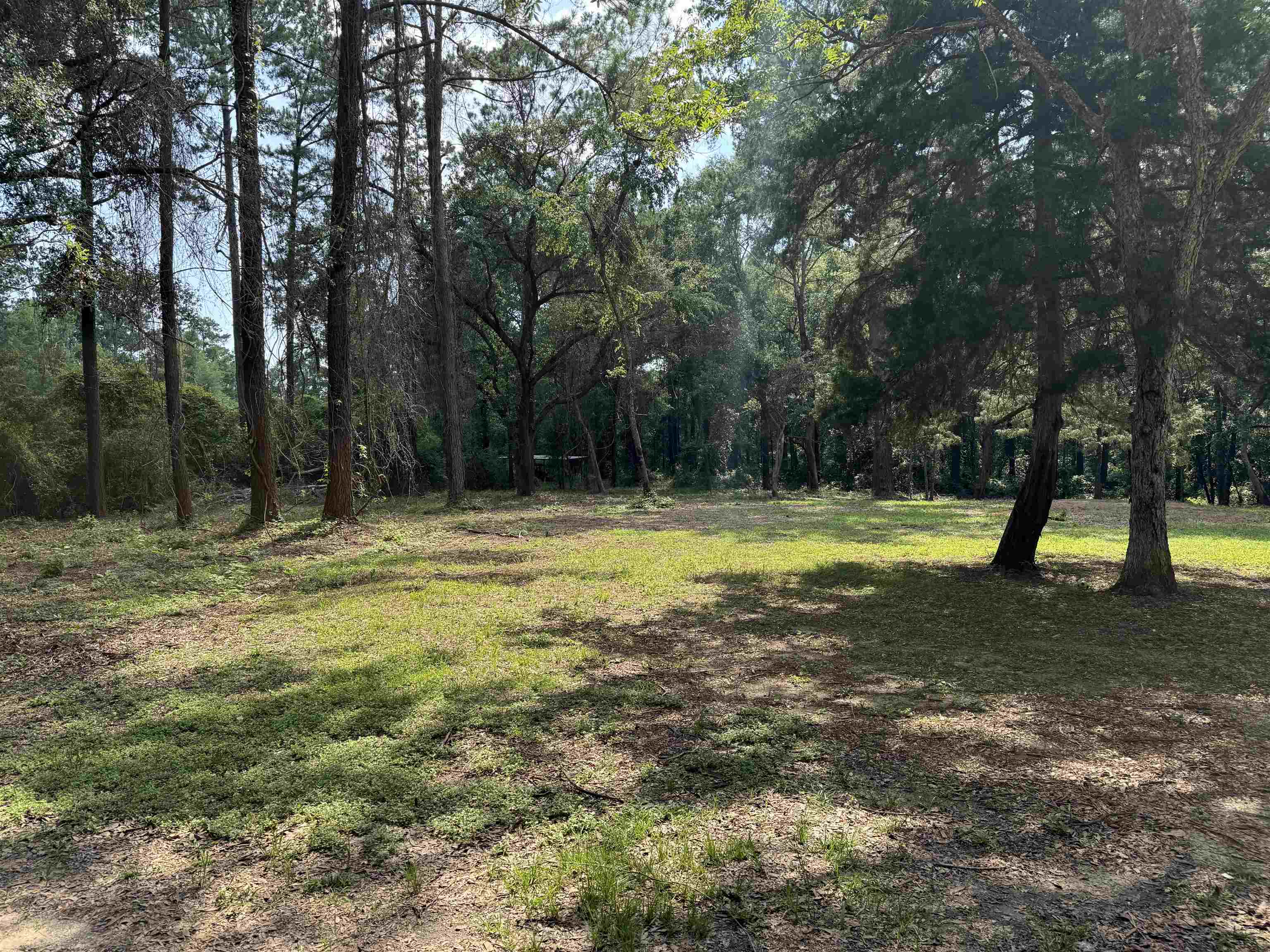 129 Ray's Lane Daphne, AL 36526 - Photo 3 of 3