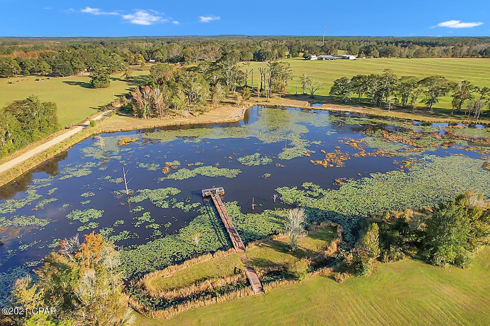1300 Old Ridge Road Bonifay, FL 32425 - Photo 13 of 45 Gallery Image 13