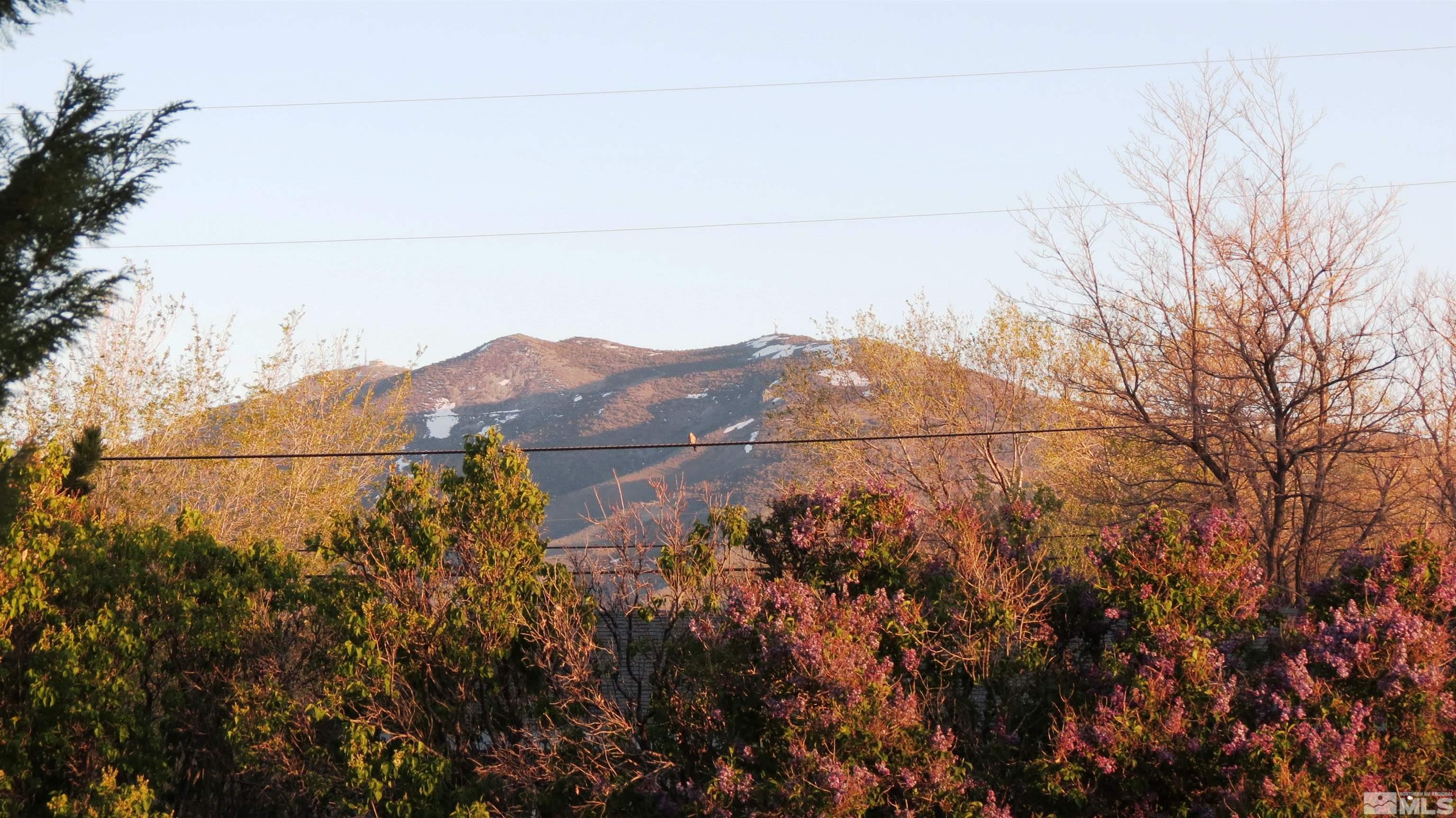 17665 Macaw Lane Reno, NV 89508 - Photo 35 of 35 Photo 35