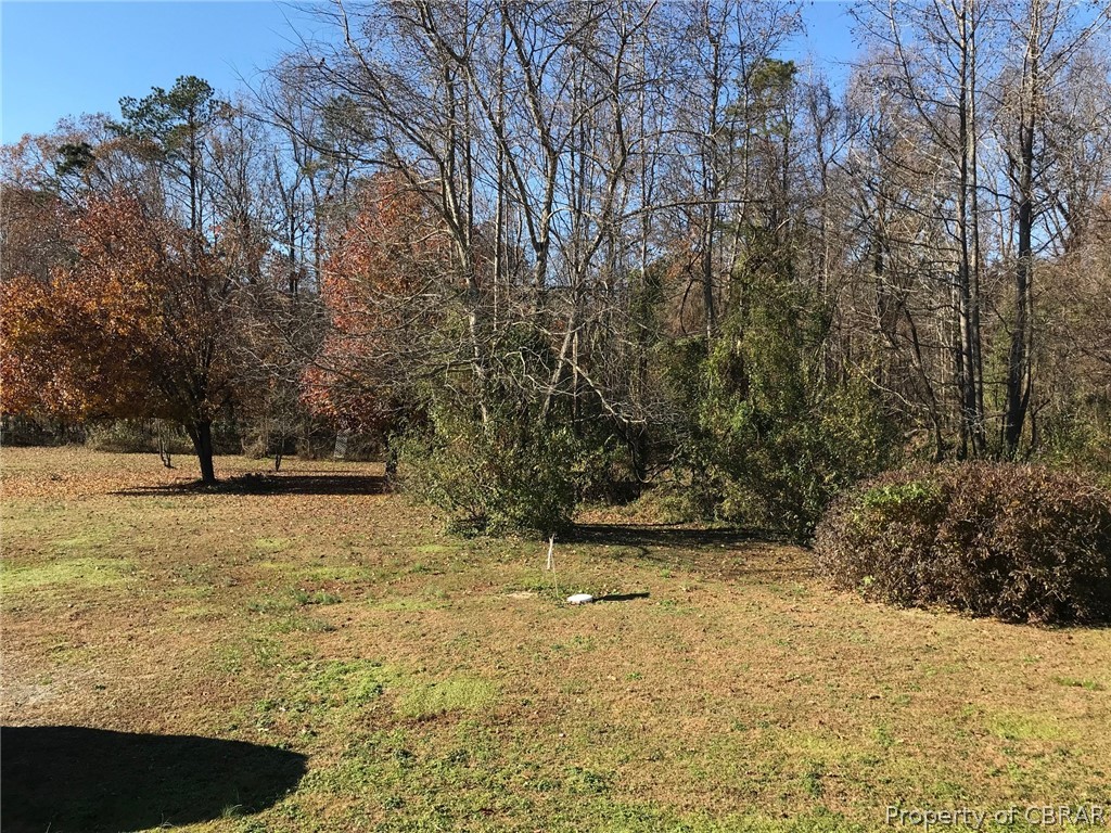 2573 Wright Road Saluda, VA 23149 - Photo 26 of 30 View of the side yard. Lots of room for children/grandchildren to play