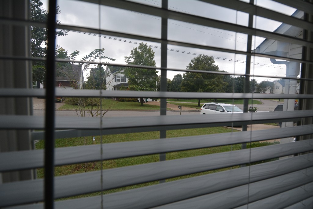 2902 Wills Court Spring Hill, TN 37174 - Photo 23 of 25