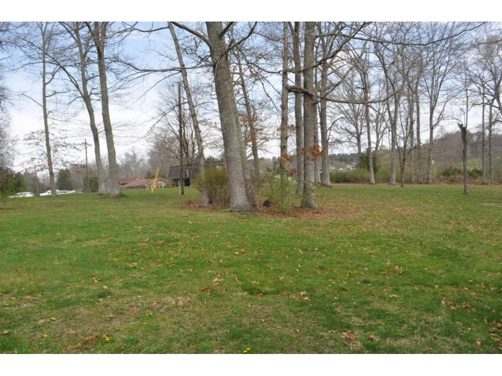 5511 Paramont Road Wise, VA 24293 - Photo 4 of 14 Nice Level Yard 395Acres