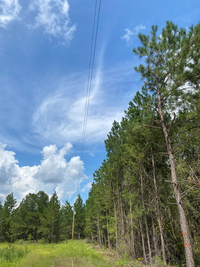 487 Pine Acres Road Windsor, SC 29856 - Photo 16 of 21