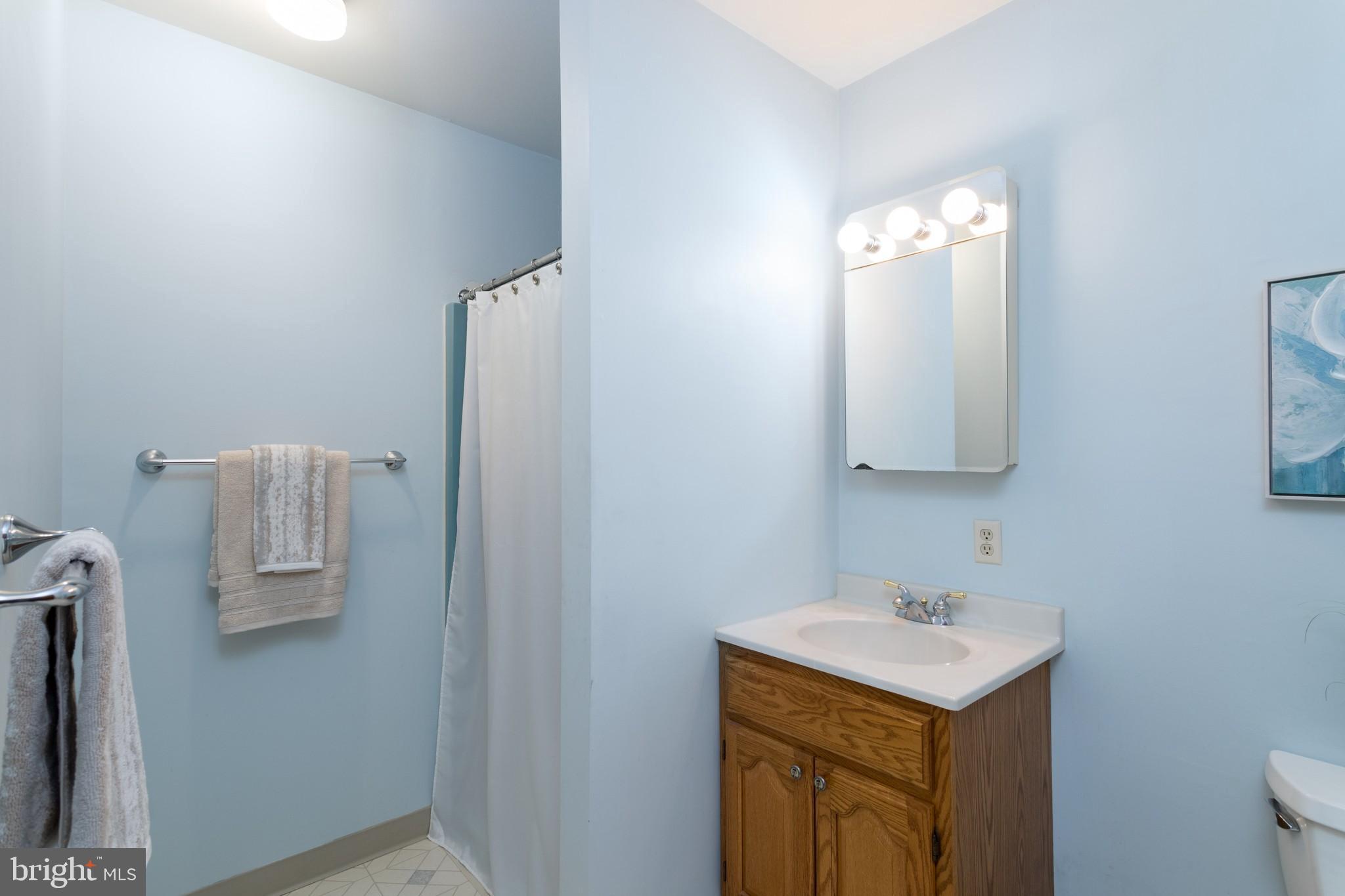 121 Carters Mill Road Elkton, MD 21921 - Photo 12 of 31 MASTER BATH