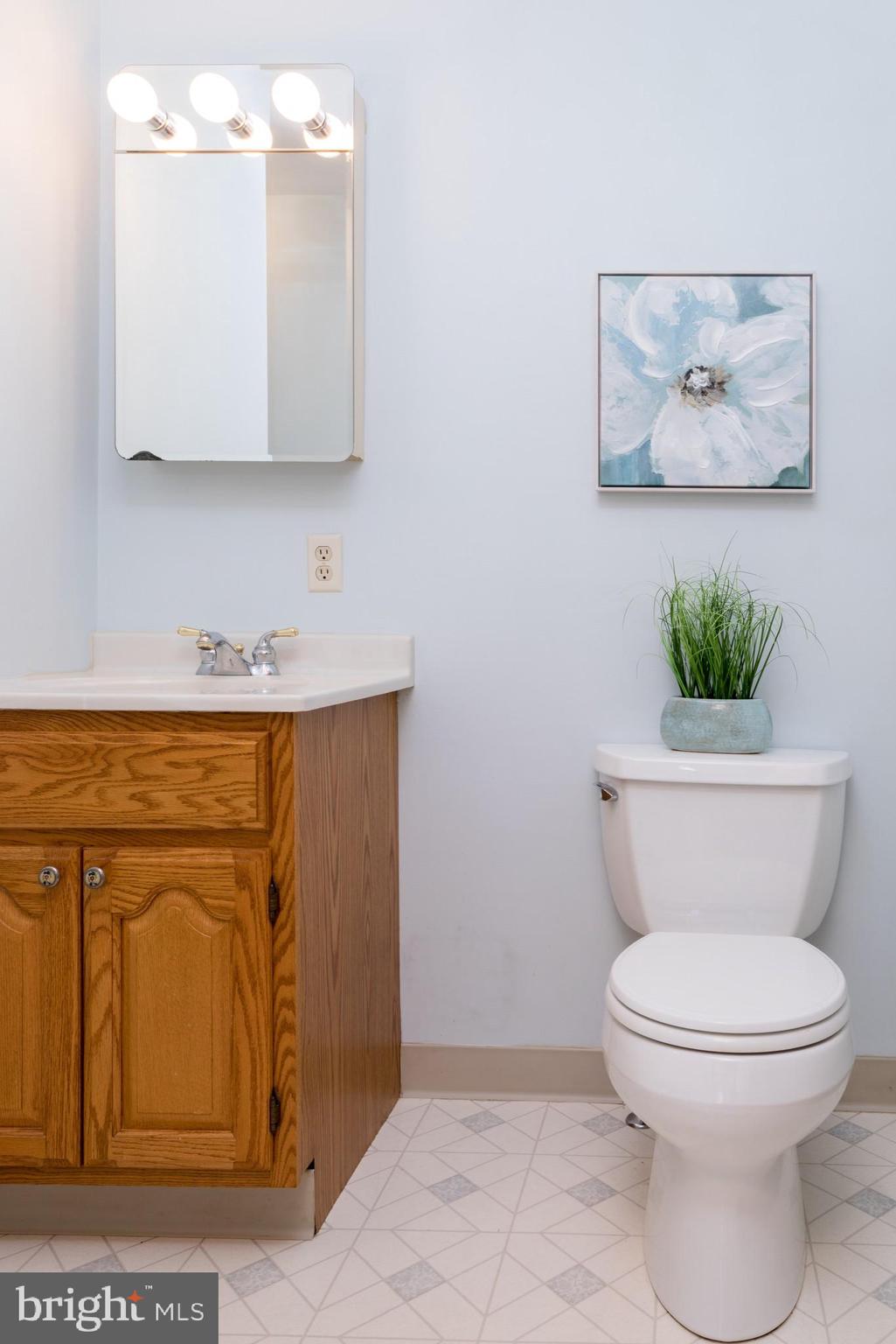 121 Carters Mill Road Elkton, MD 21921 - Photo 13 of 31 MASTER BATH