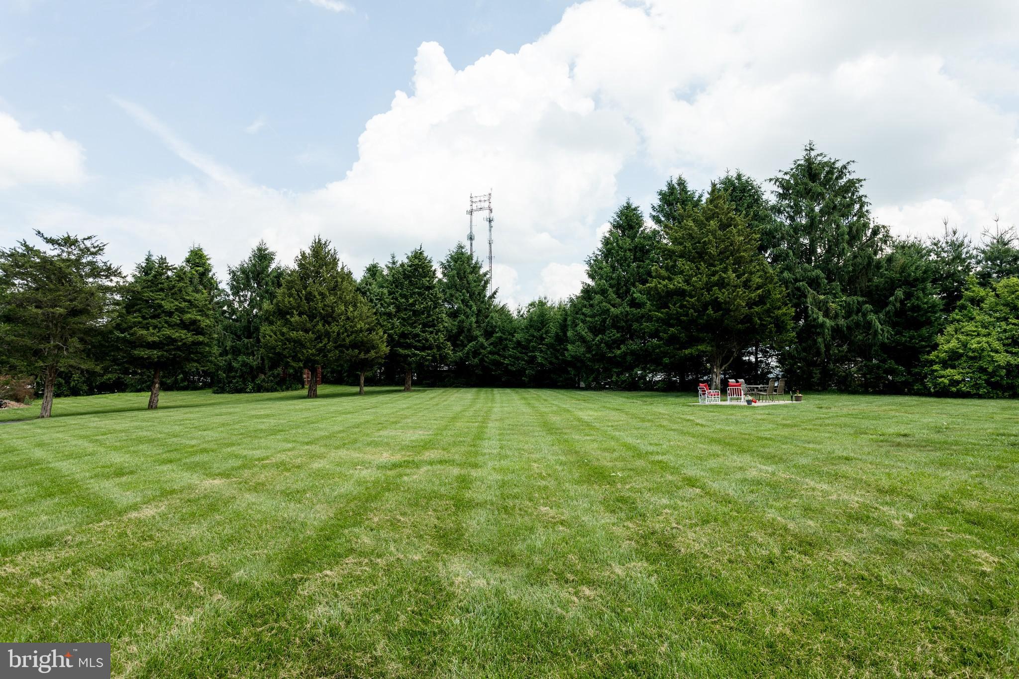 121 Carters Mill Road Elkton, MD 21921 - Photo 25 of 31 REAR YARD