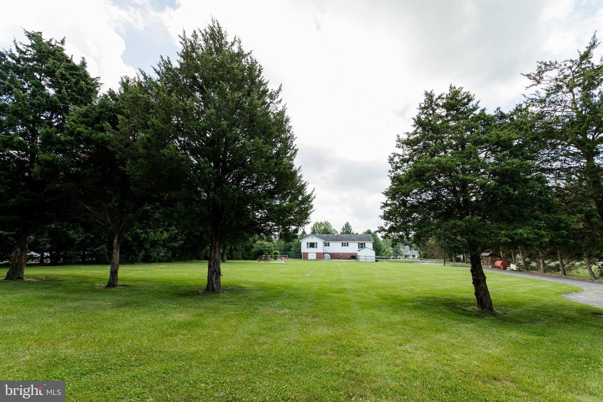 121 Carters Mill Road Elkton, MD 21921 - Photo 29 of 31 MATURE TREES