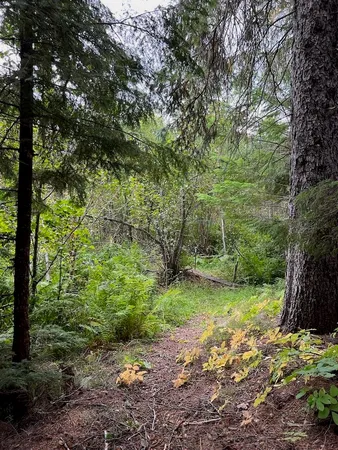 $139,000 | Nka Soggy Bottom Lane, Cusick, WA 99119