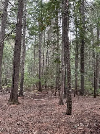 $139,000 | Nka Soggy Bottom Lane, Cusick, WA 99119