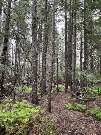 $139,000 | Nka Soggy Bottom Lane, Cusick, WA 99119