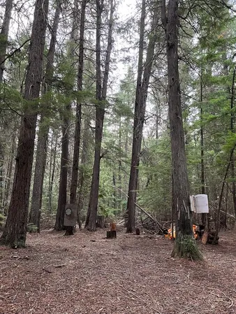 $139,000 | Nka Soggy Bottom Lane, Cusick, WA 99119