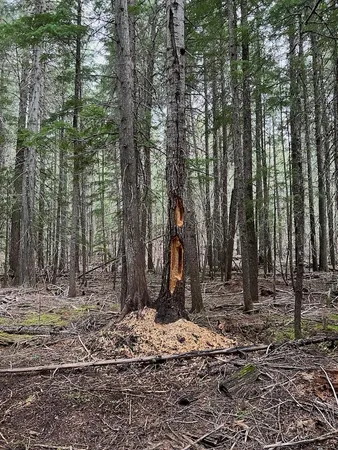 $139,000 | Nka Soggy Bottom Lane, Cusick, WA 99119