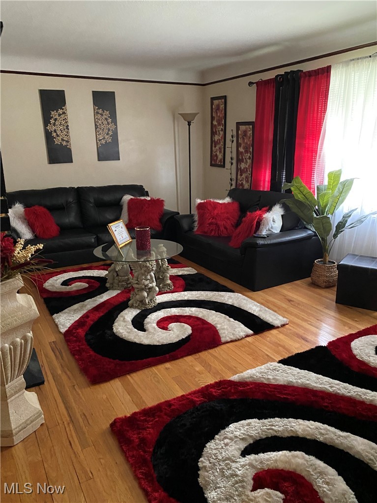673 Babbitt Road Euclid, OH 44123 - Photo 11 of 32 Living room featuring hardwood / wood-style flooring