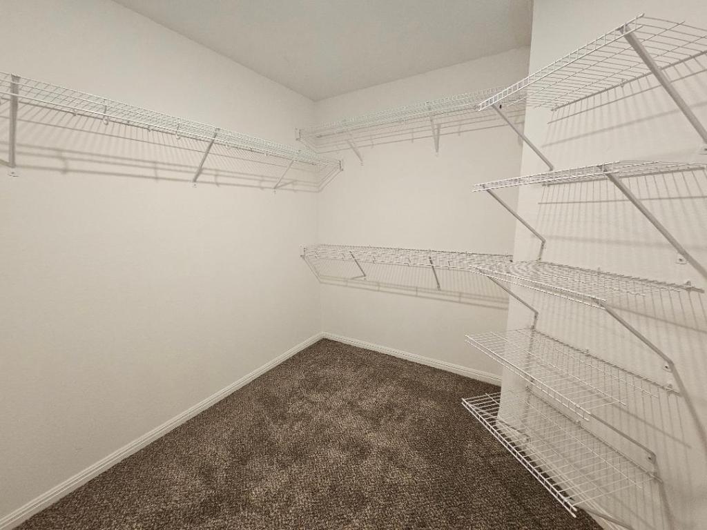 17904 Speculator Lane Elgin, TX 78621 - Photo 9 of 15 Closet in the primary bathroom