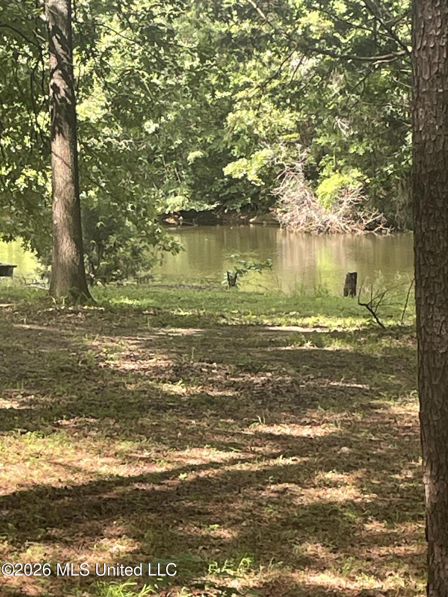 6165 Highway 4 Senatobia, MS 38668 - Photo 19 of 20 IMG_3293