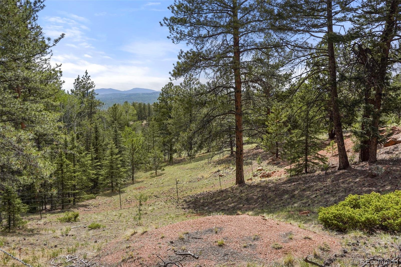 247 Pinewood Road Florissant, CO 80816 - Photo 26 of 28