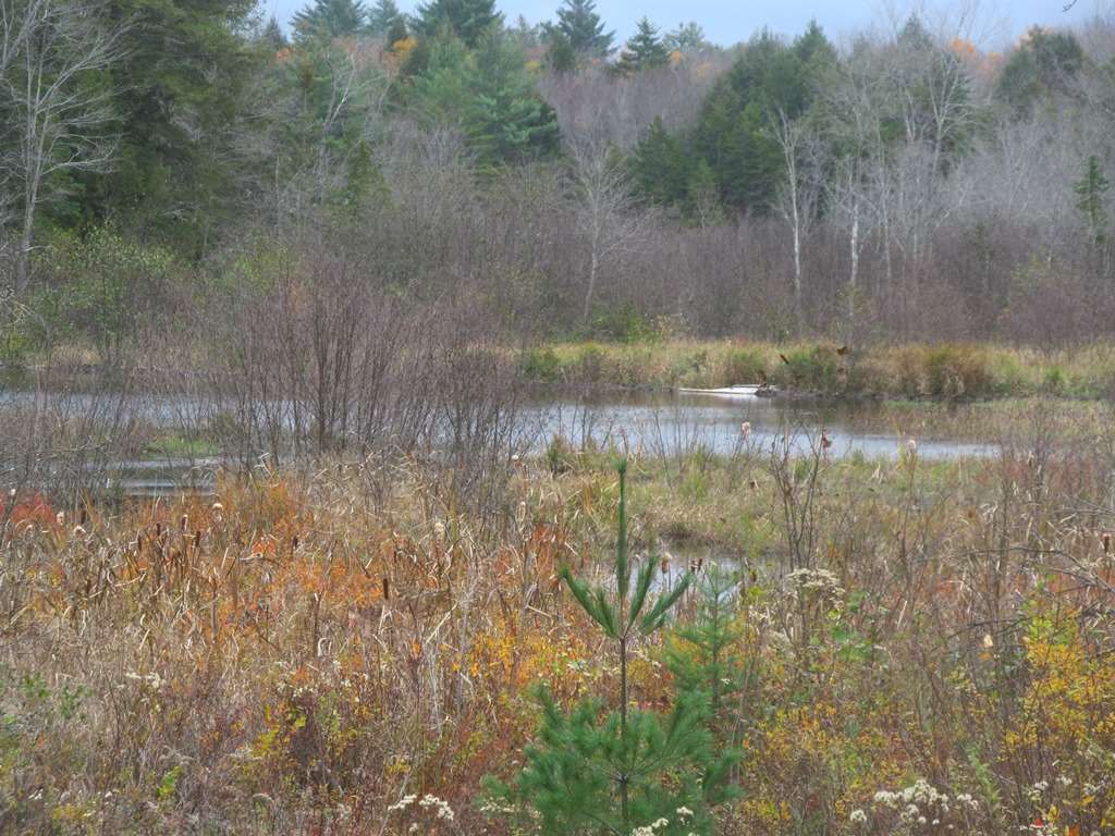 477 Cold Pond Road Charlestown, NH 03603 - Photo 13 of 28
