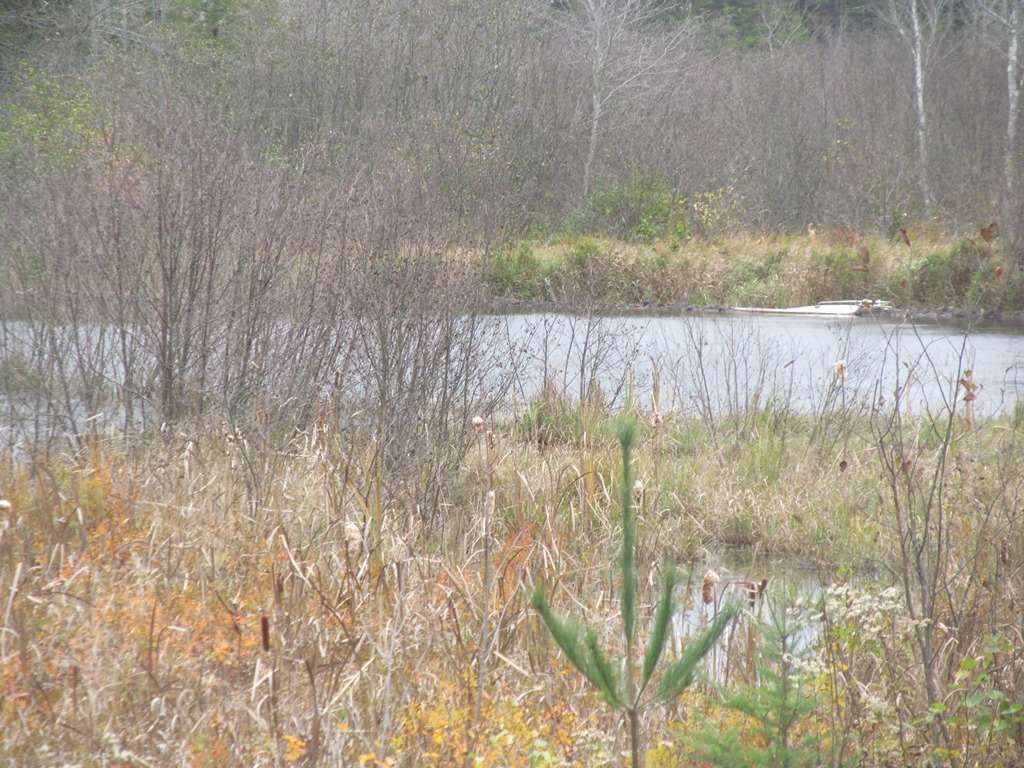477 Cold Pond Road Charlestown, NH 03603 - Photo 14 of 28