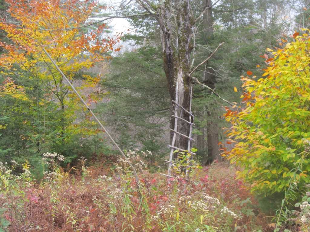 477 Cold Pond Road Charlestown, NH 03603 - Photo 18 of 28