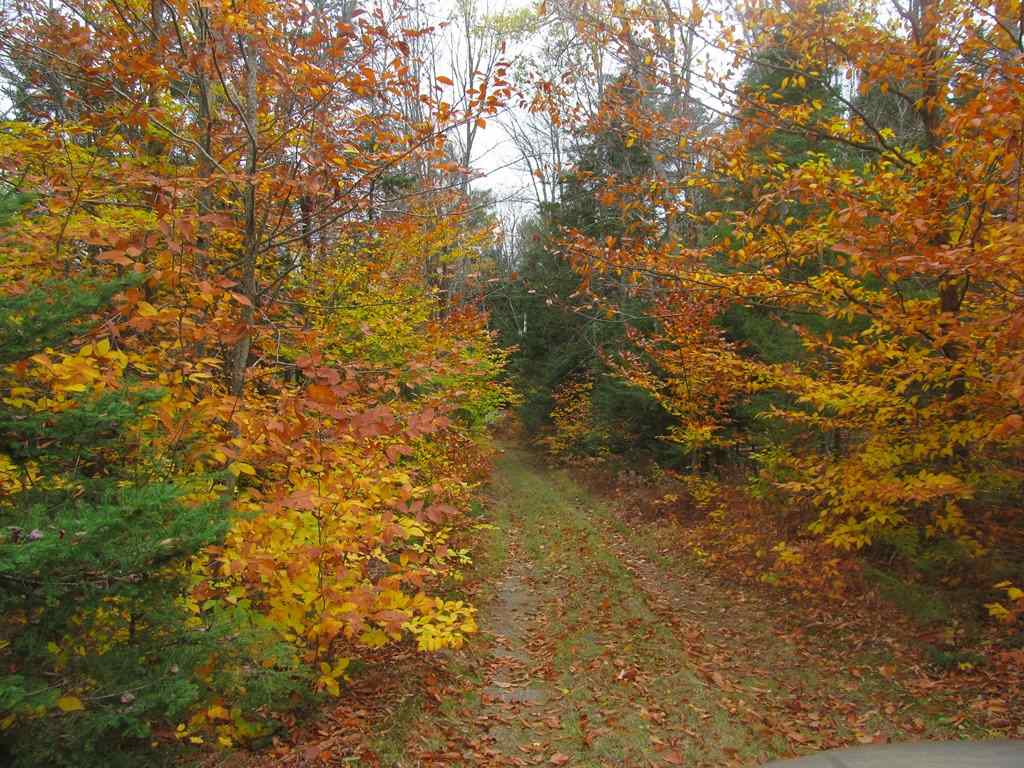 477 Cold Pond Road Charlestown, NH 03603 - Photo 19 of 28