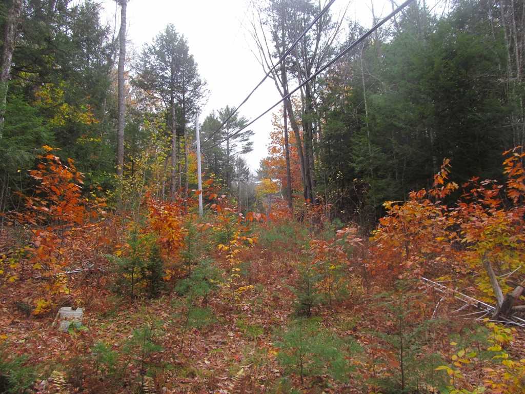 477 Cold Pond Road Charlestown, NH 03603 - Photo 24 of 28