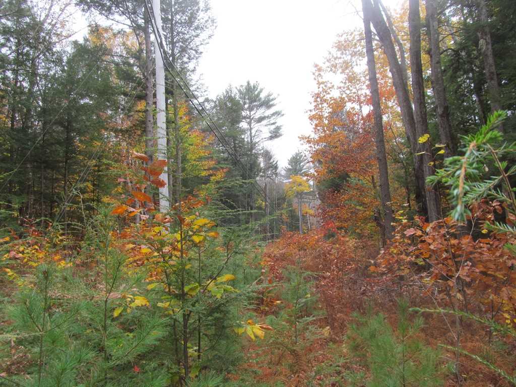 477 Cold Pond Road Charlestown, NH 03603 - Photo 25 of 28