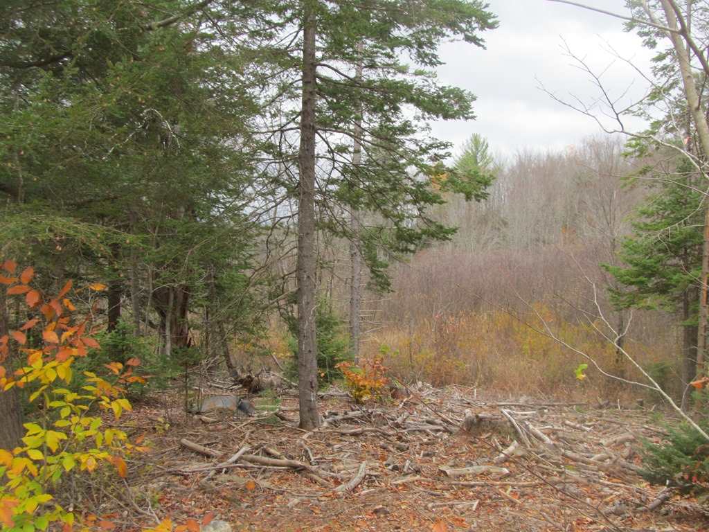 477 Cold Pond Road Charlestown, NH 03603 - Photo 26 of 28