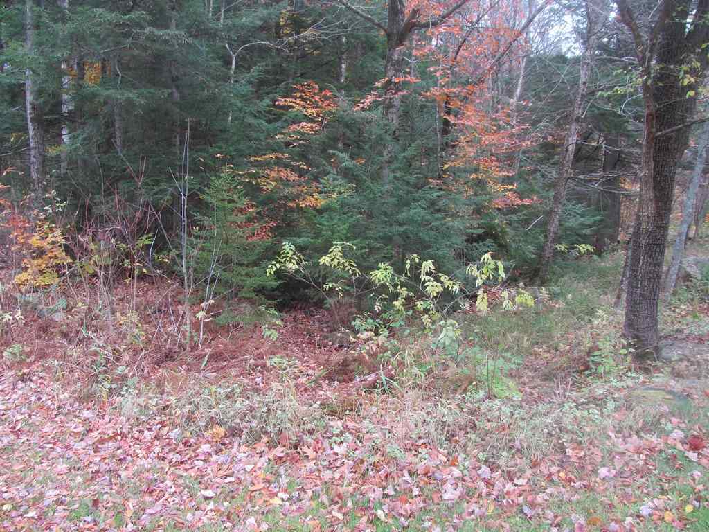 477 Cold Pond Road Charlestown, NH 03603 - Photo 27 of 28
