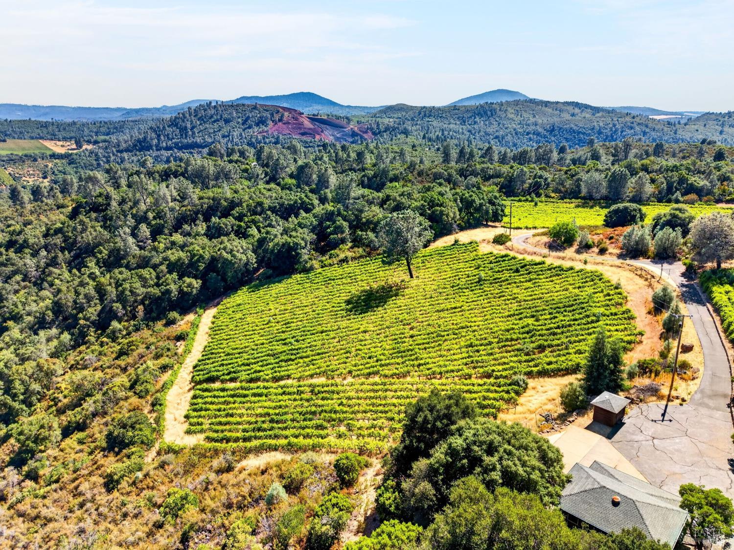 7490 Walnut Lane Lower Lake, CA 95457 - Photo 4 of 66 Vineyard