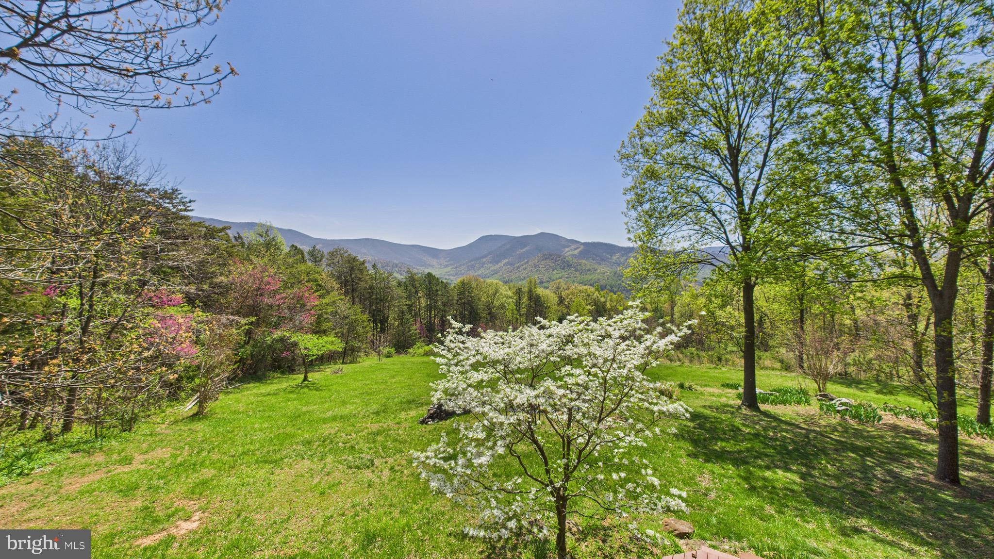 974 Cross Mountain Road Luray, VA 22835 - Photo 50 of 69 Gallery Image 50