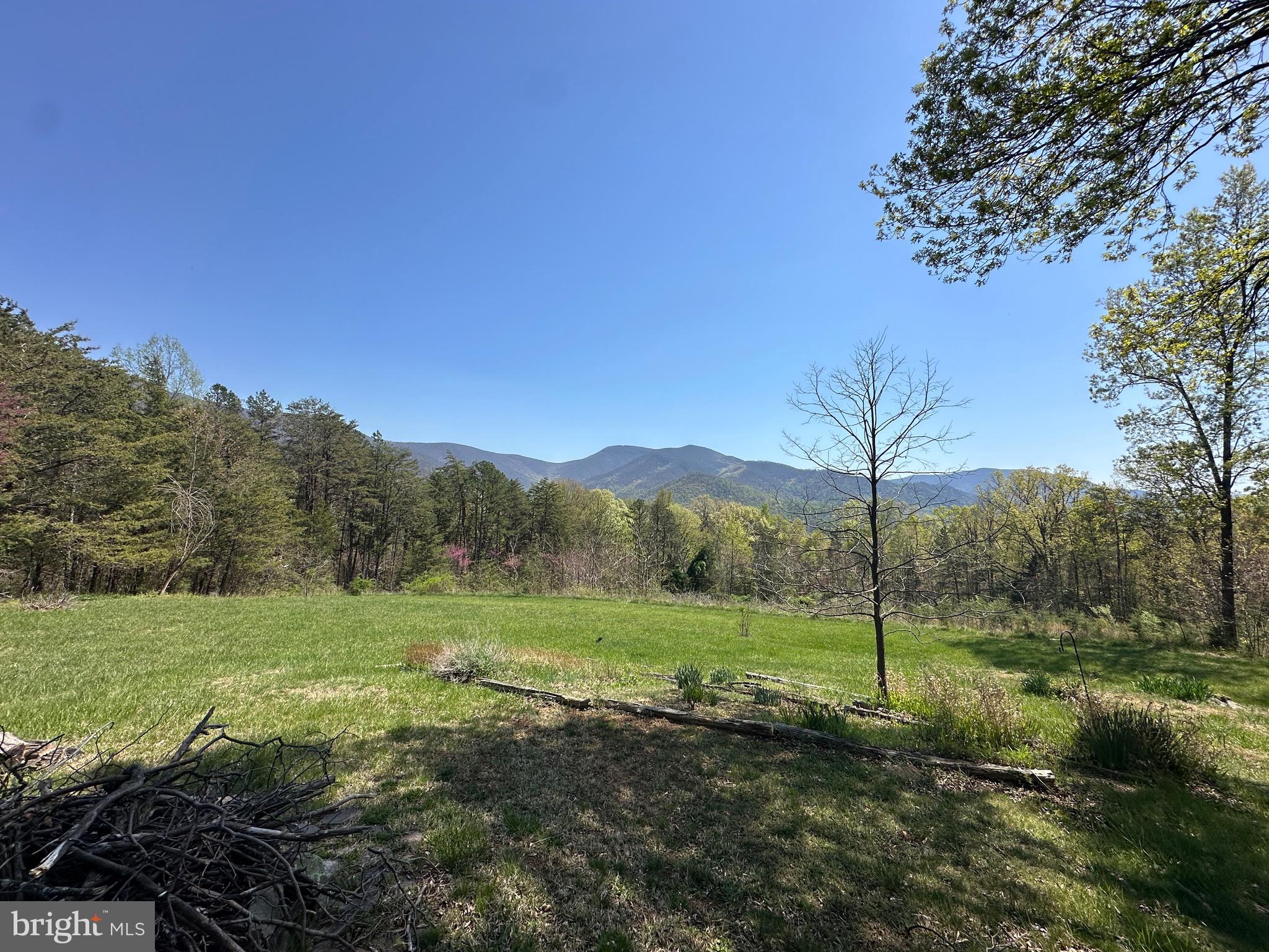974 Cross Mountain Road Luray, VA 22835 - Photo 54 of 69 Gallery Image 54