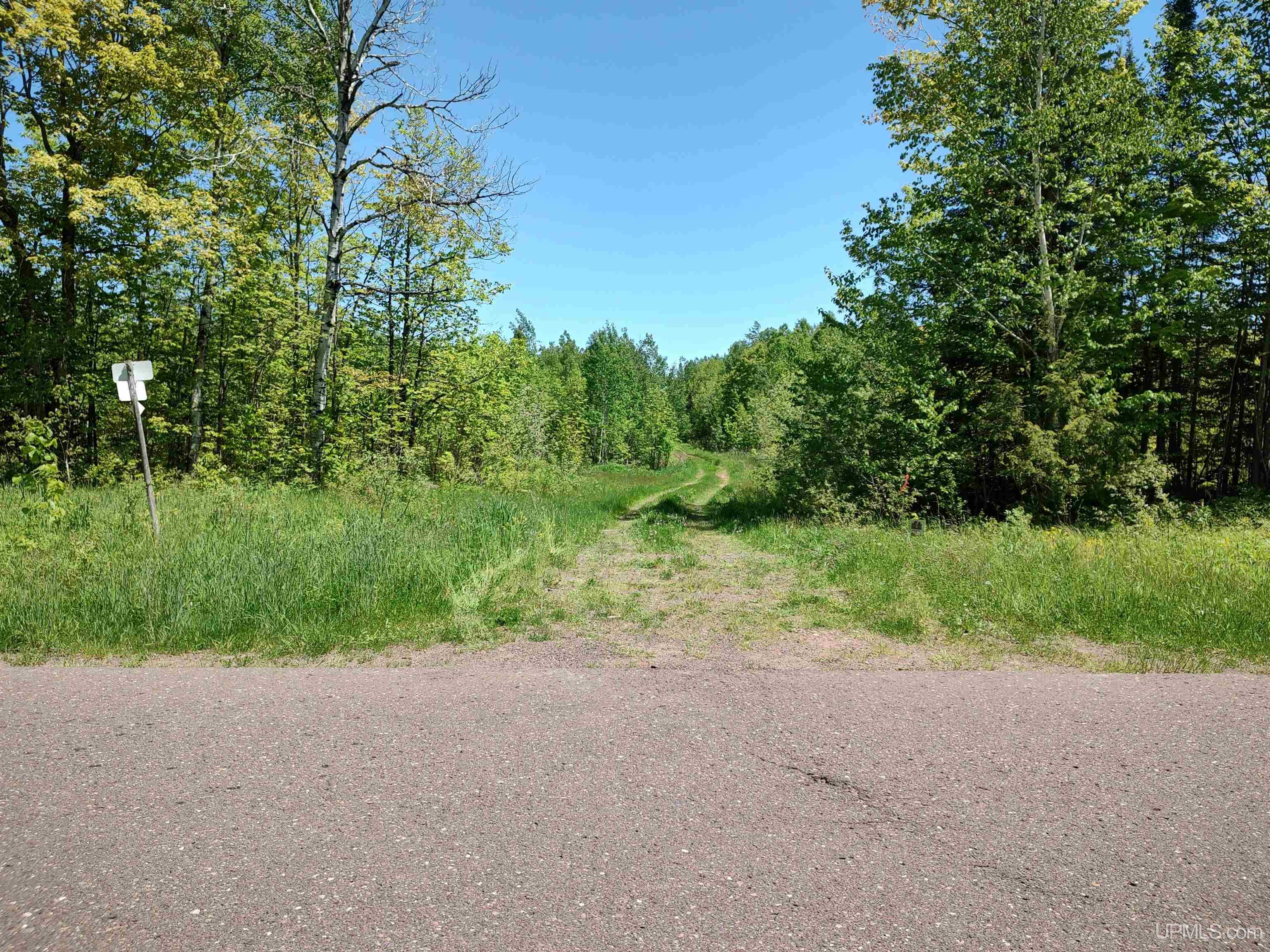 Tbd Woodspur Road Ontonagon, MI 49953 - Photo 7 of 46