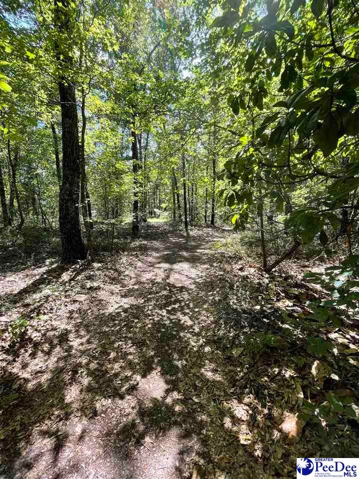 0 Twin Church Road Timmonsville, SC 29161 - Photo 7 of 20 Gallery Image 7