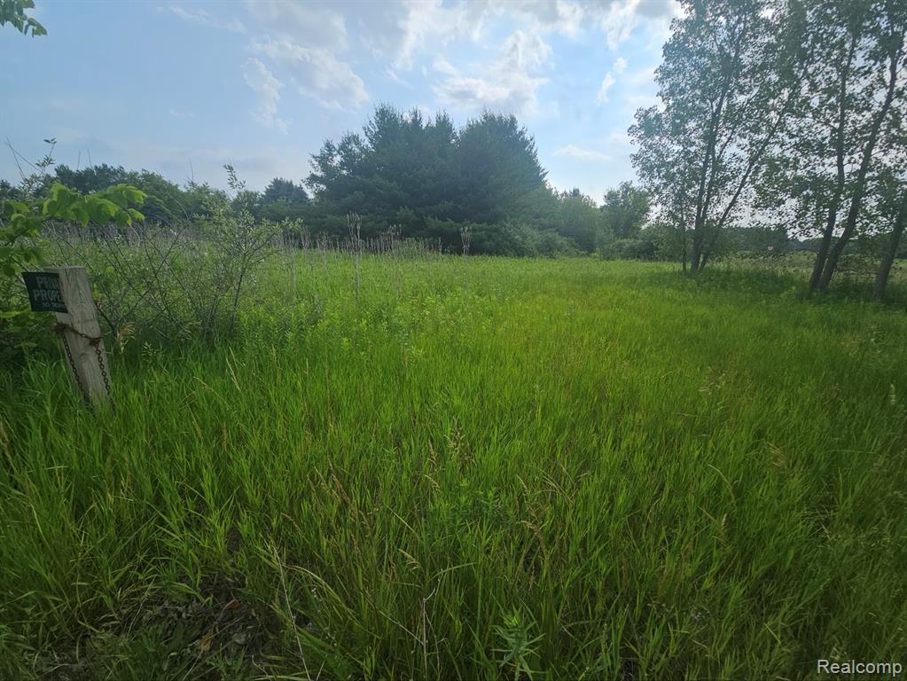 Vl Millville Road Lapeer, MI 48446 - Photo 5 of 15 Gallery Image 5