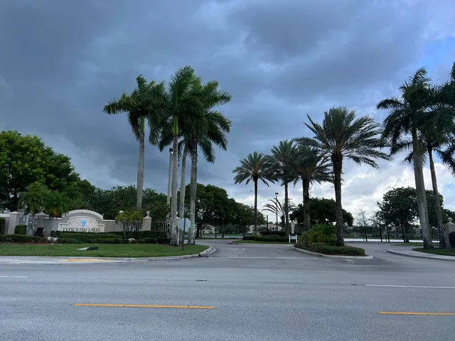 a palm tree sitting in front of a house with a yard