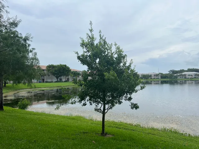 a view of lake with green space
