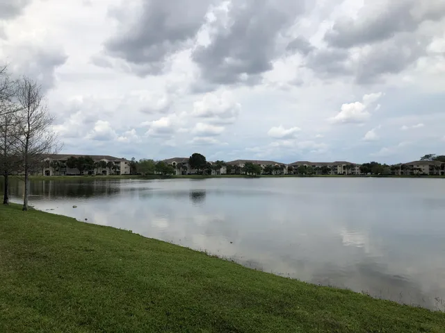 a view of a lake from a yard