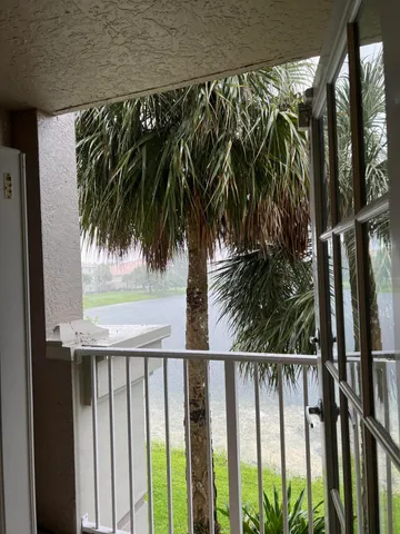 a view of a palm plant from a balcony