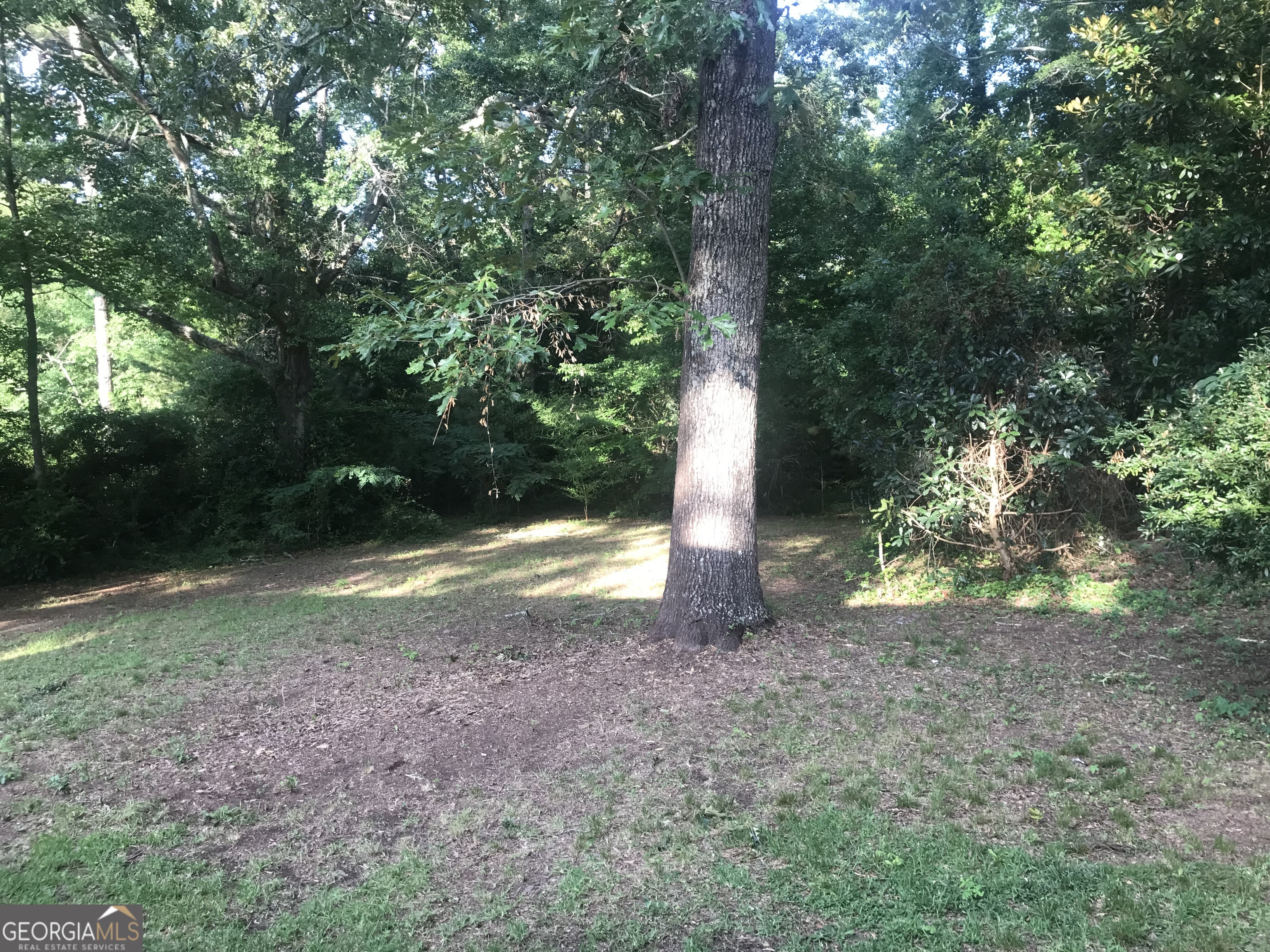 a view of a tree in the middle of a yard