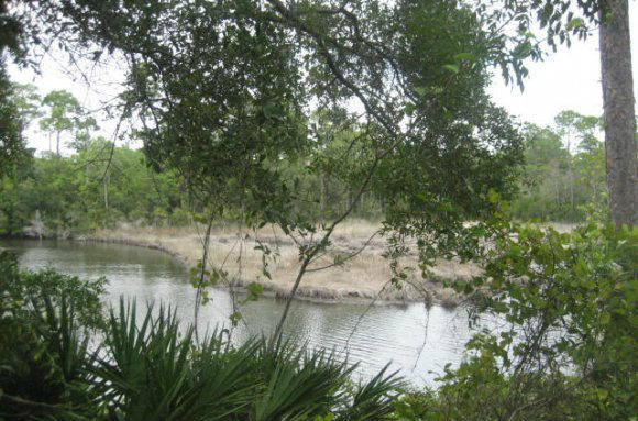 Lot 9 Pine Cone Inlet Beach Inlet Beach, FL 32461 - Photo 2 of 3 a view of lake