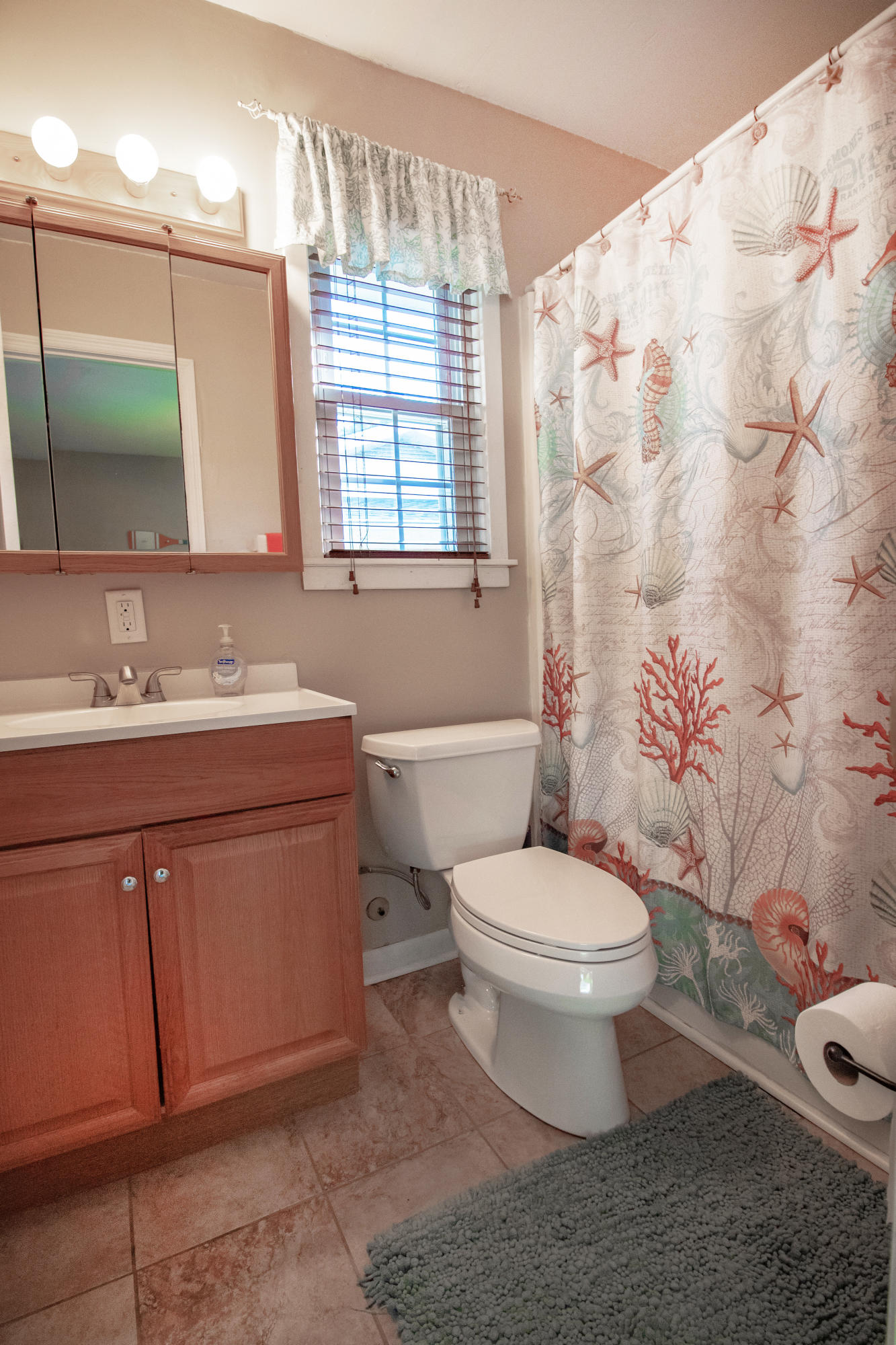 114 Rosa Street Summerville, SC 29483 - Photo 14 of 22 Master bath