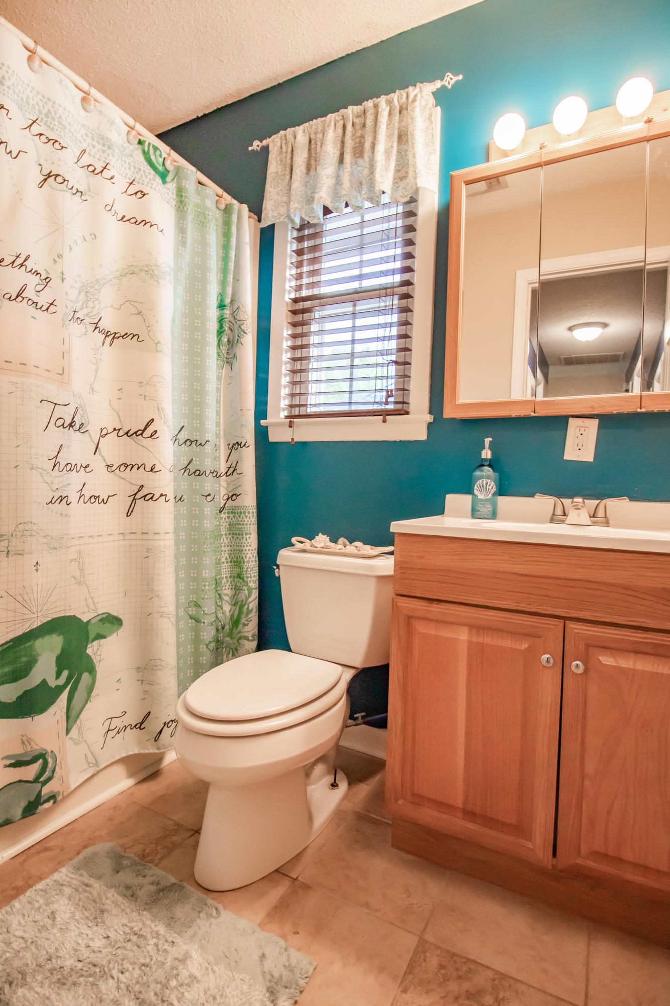 114 Rosa Street Summerville, SC 29483 - Photo 16 of 22 Bathroom 2