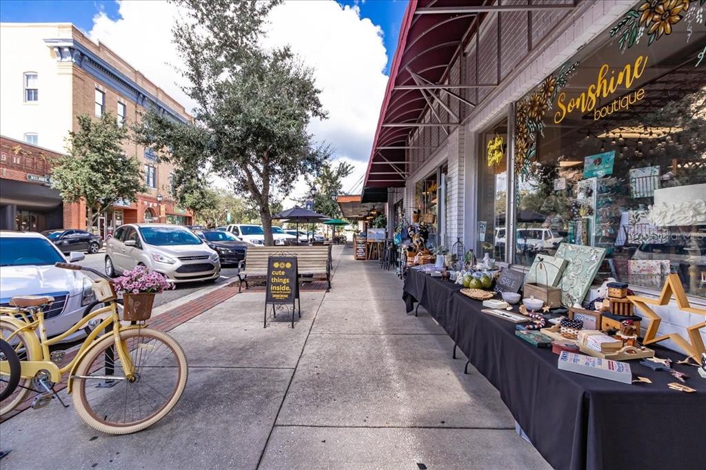 223 South Nesbitt Terrace Inverness, FL 34450 - Photo 70 of 85