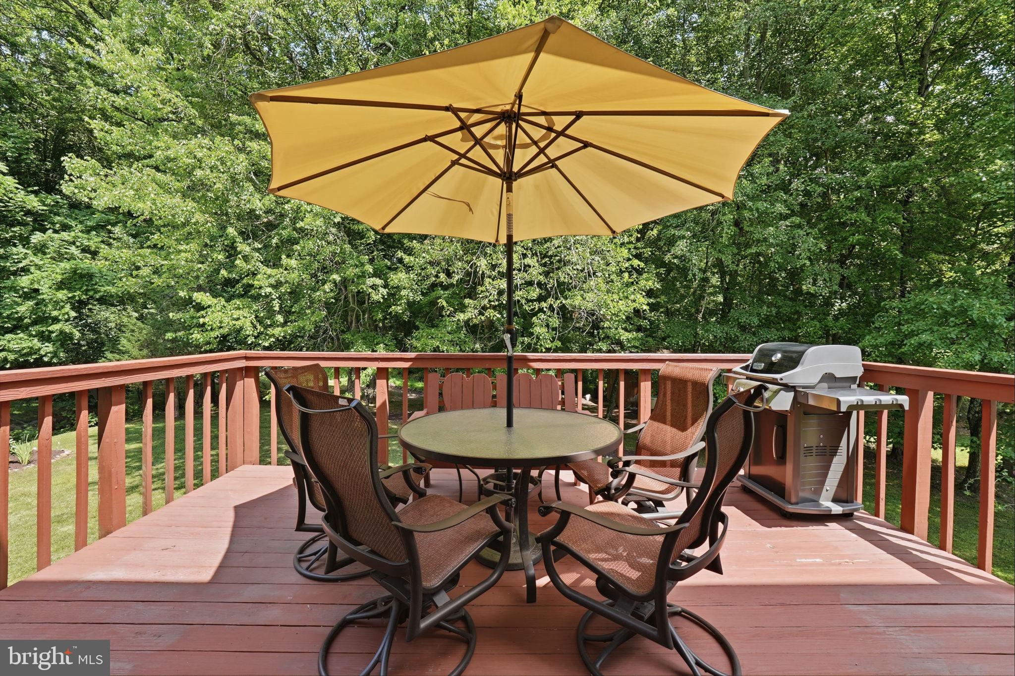 15005 Timberlake Drive Silver Spring, MD 20905 - Photo 5 of 36 Sunny deck retreat with lush views.