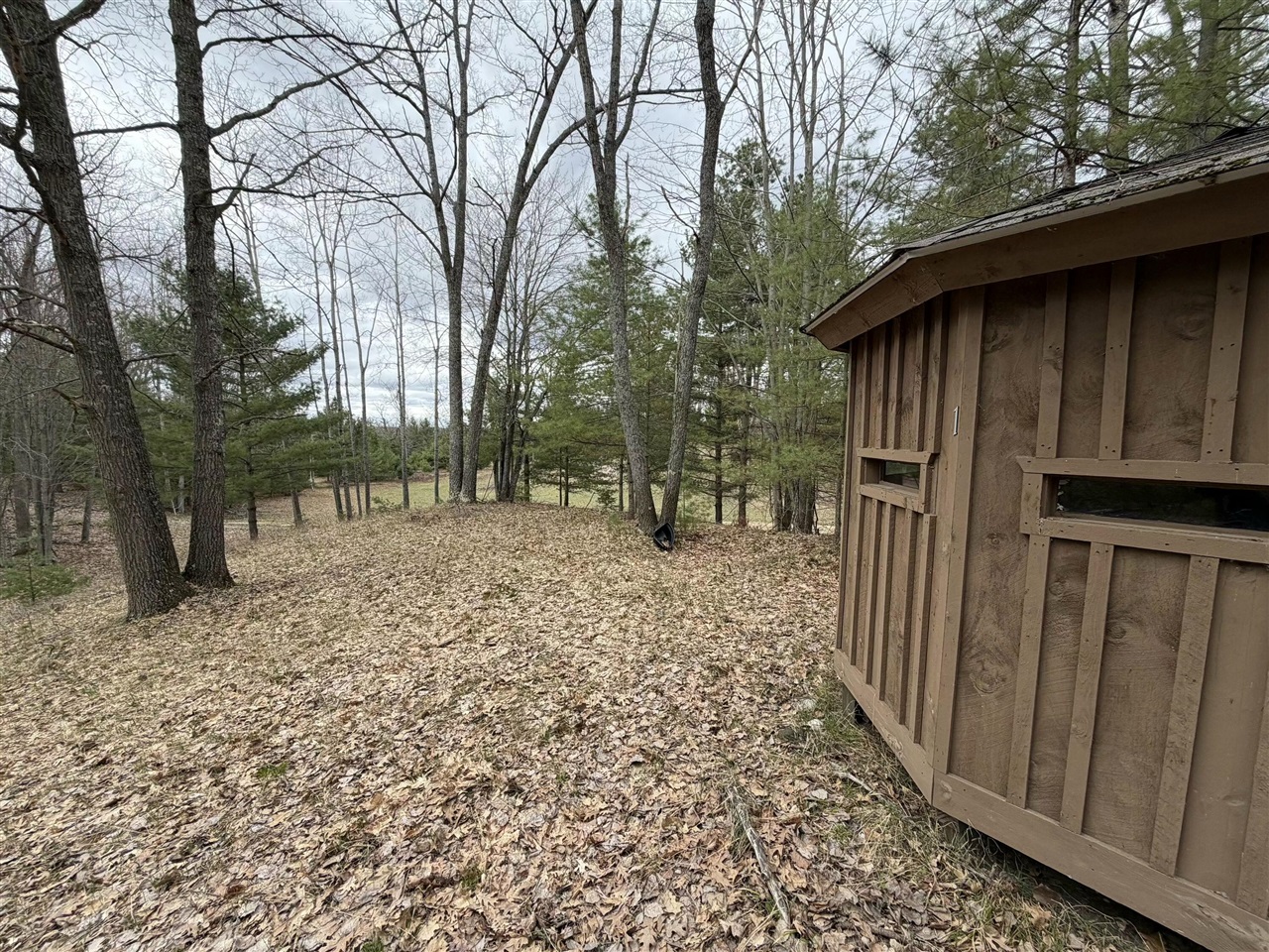 10838 Broad Road Lachine, MI 49753 - Photo 80 of 96
